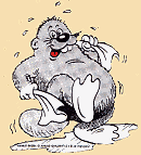 copyright by B+S Finnland Sauna D&uuml;lmen